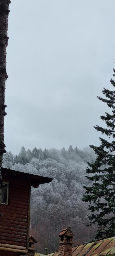Sophie Apart Belleview Sinaia Exteriör bild